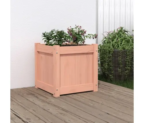 Sodo Lovelis, 40X40X40cm Douglas Eglės Medienos Masyvas