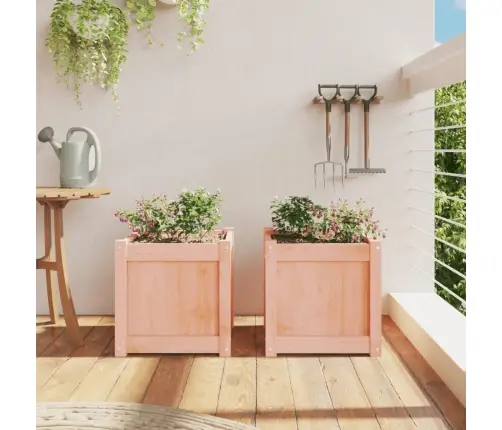 Aia Taimekastid 2 Tk, Ebatsuuga Puit