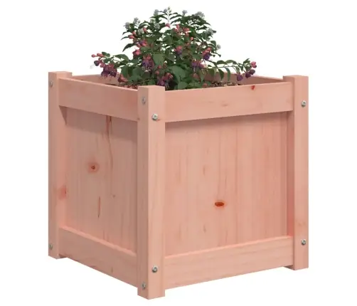 Aia Taimekastid 2 Tk, Ebatsuuga Puit