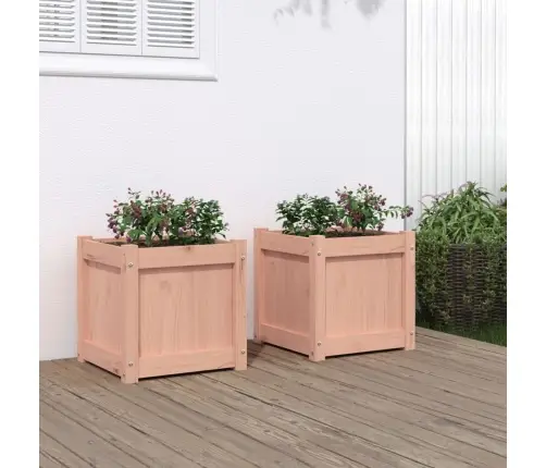 Aia Taimekastid 2 Tk, Ebatsuuga Puit