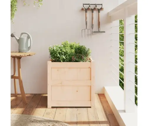 Sodo Lovelis, 50X50X50 cm Pušies Medienos Masyvas