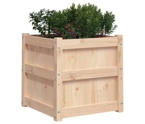 Sodo Lovelis, 50X50X50 cm Pušies Medienos Masyvas