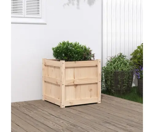 Sodo Lovelis, 50X50X50 cm Pušies Medienos Masyvas