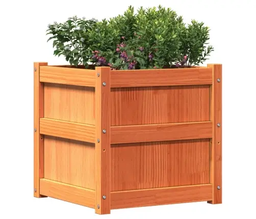 Dārza Puķu Kastes, 2 Gab., Vaska Brūnas, Priedes Masīvkoks Vidaxl