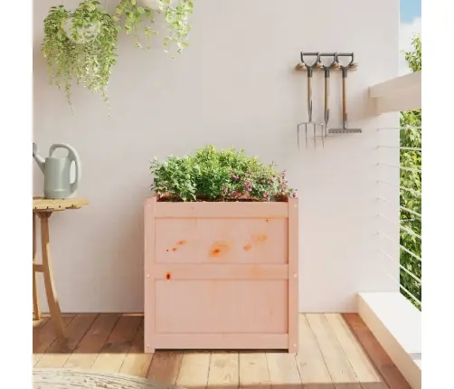 Aia Taimekast, 60 X 60 X 60 cm Ebatsuuga Puit