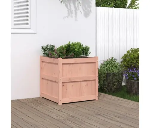 Aia Taimekast, 60 X 60 X 60 cm Ebatsuuga Puit