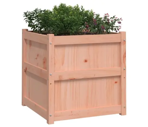 Sodo Loveliai, 2Vnt., Douglas Eglės Medienos Masyvas