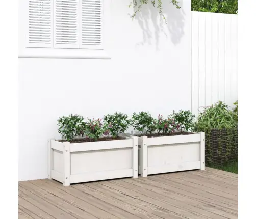 Dārza Puķu Kastes, 2 Gab., Balta, Priedes Masīvkoks Vidaxl