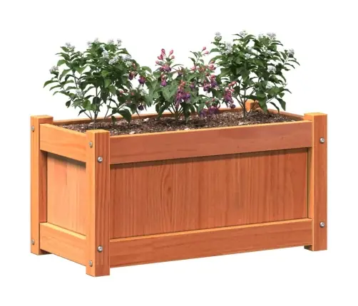 Dārza Puķu Kastes, 2 Gab., Vaska Brūnas, Priedes Masīvkoks Vidaxl