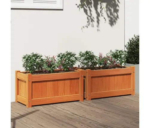 Dārza Puķu Kastes, 2 Gab., Vaska Brūnas, Priedes Masīvkoks Vidaxl