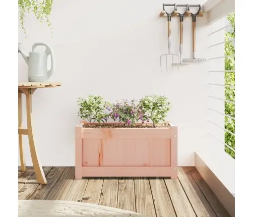 Aia Taimekast, 60 X 31 X 31 cm Ebatsuuga Puit