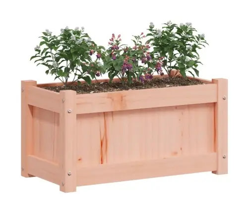 Aia Taimekast, 60 X 31 X 31 cm Ebatsuuga Puit