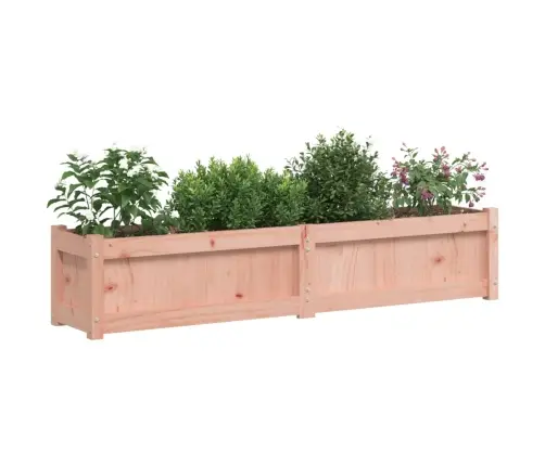 Sodo Loveliai, 2Vnt., Douglas Eglės Medienos Masyvas