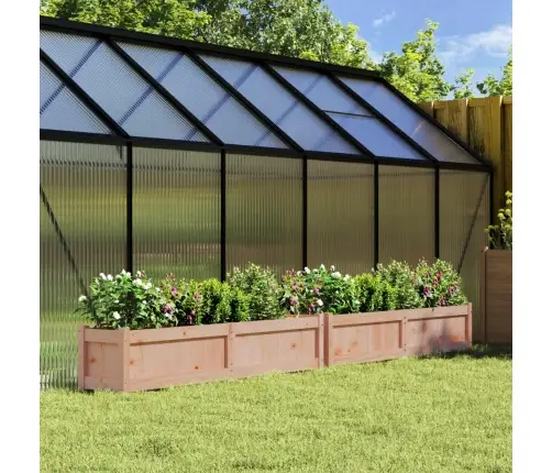 Sodo Loveliai, 2Vnt., Douglas Eglės Medienos Masyvas