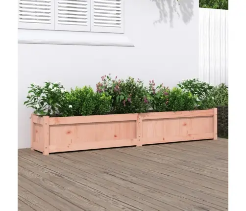 Sodo Lovelis, 180X31X31cm Douglas Eglės Medienos Masyvas