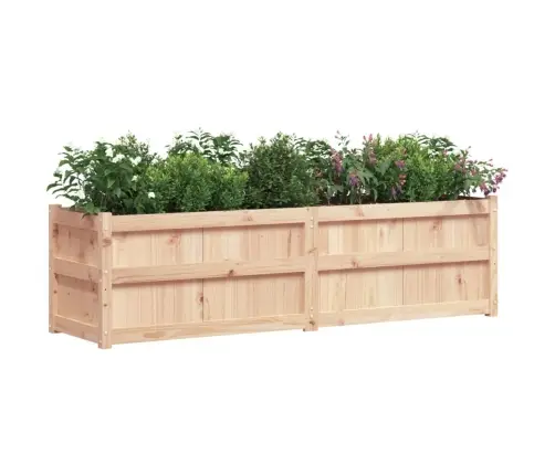 Aia Taimekast, 180 X 50 X 50 cm Männipuit
