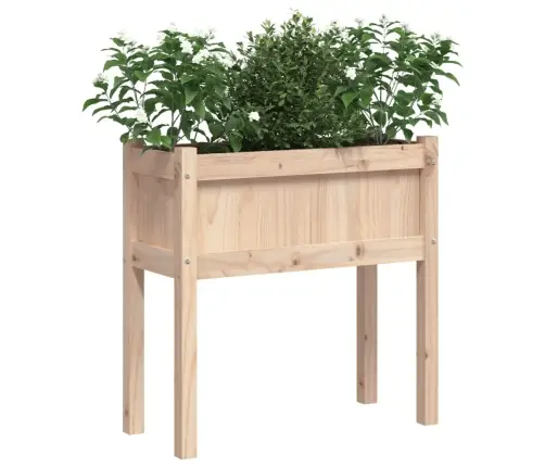 Sodo Lovelis Su Kojelėmis, 70X31X70cm Pušies Medienos Masyvas