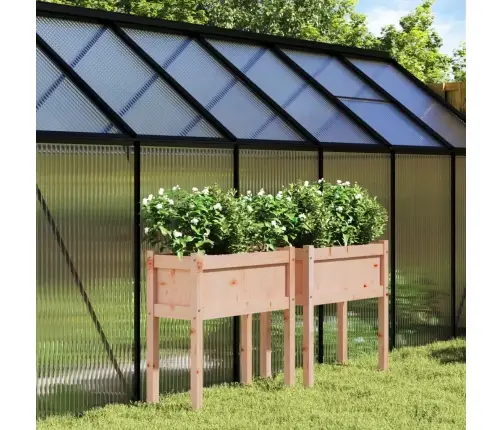 Jalgadega Aia Taimekastid 2 Tk, Ebatsuuga Puit