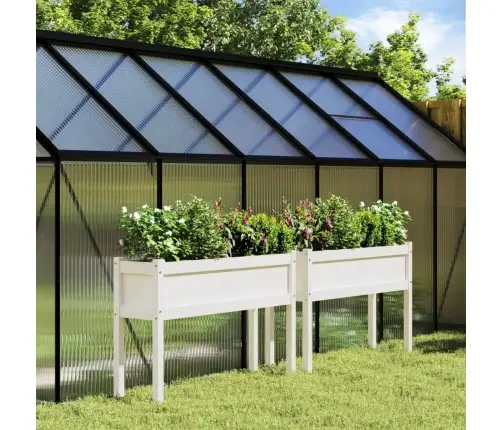 Jalgadega Aia Taimekastid 2 Tk, Valge, Männipuit