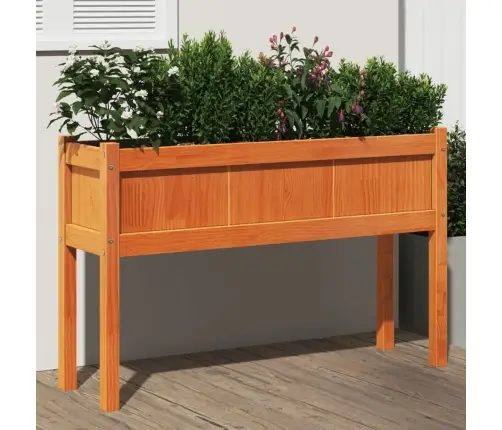 Dārza Puķu Kaste Ar Kājām, Vaska Brūnas, 110X31X70 Cm, Priede Vidaxl