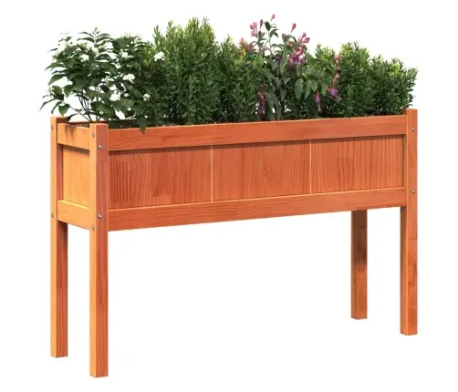 Jalgadega Aia Taimekastid 2 Tk, Vahapruun, Männipuit