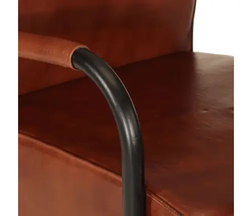 Tugitool, Pruun, Ehtne Nahk