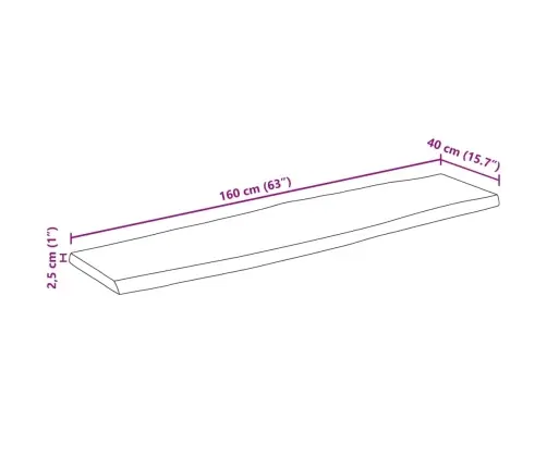 Galda Virsma, 160X40X2,5 Cm, Neapstrādāts Mango Masīvkoks Vidaxl