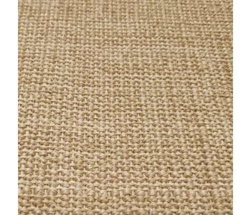 Sizalio Kilimėlis Draskymo Stulpui, 66X100Cm