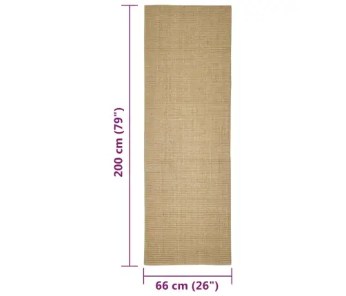 Nagu Asināšanas Paklājs, 66X200 Cm, Sizals Vidaxl