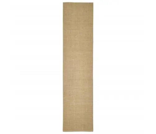 Nagu Asināšanas Paklājs, 80X350 Cm, Sizals Vidaxl