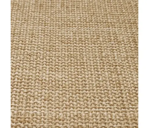 Nagu Asināšanas Paklājs, 80X350 Cm, Sizals Vidaxl