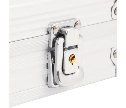 Pokerio Žetonų Rinkinys, 300Vnt., 11,5G