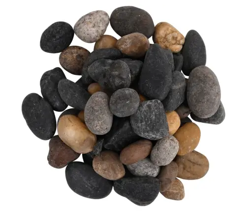 Pulēti Oļi, 10 Kg, Krāsaini, 5-8 Cm Vidaxl