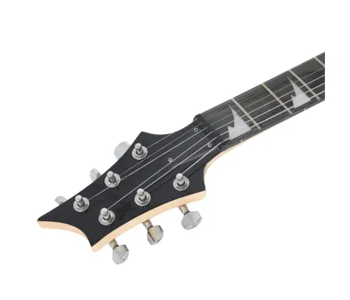 Elektrinė Gitara Pradedantiesiems Su Dėklu, Ruda/Juoda, 4/4 39"