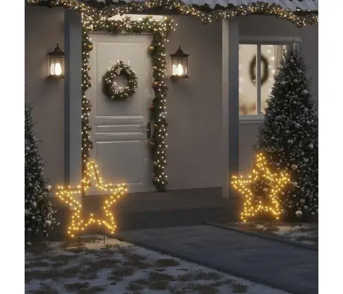 Ziemassvētku Gaismas Dekors, Zvaigznes Forma, 115 Led, 85 Cm Vidaxl