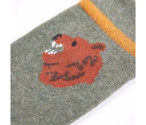 Bērnu Zeķes, 5 Pāri, 23-26