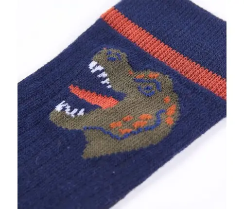 Laste Sokid, 5 Paari, Eu 26-29