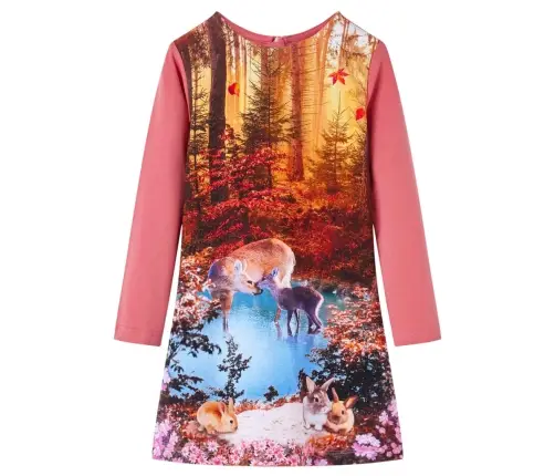 Pikkade Varrukatega Laste Kleit, Vanaroosa, 140