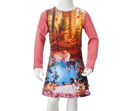 Pikkade Varrukatega Laste Kleit, Vanaroosa, 140