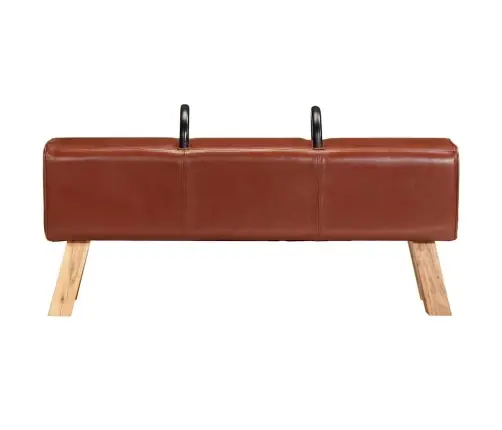 Vingrošanas Buks, 110 Cm, Brūna Dabīgā Āda Vidaxl