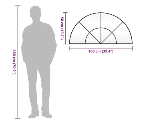 Sienas Spogulis, Melns, 100X50 Cm, Dzelzs Vidaxl