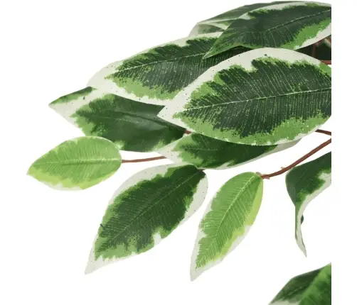 Mākslīgais Fikuss, 378 Lapas, 80 Cm, Zaļš Vidaxl