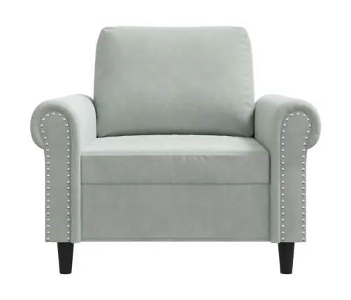 Atpūtas Krēsls, Gaiši Pelēks, 60 Cm, Samts Vidaxl