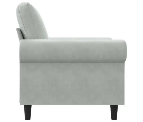 Atpūtas Krēsls, Gaiši Pelēks, 60 Cm, Samts Vidaxl