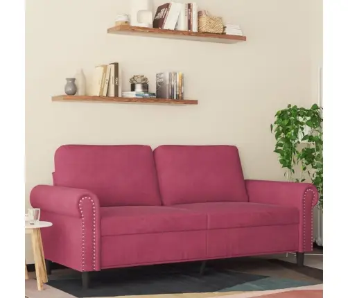 Dvivietė Sofa, Raudonojo Vyno Spalvos, 140cm Aksomas