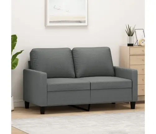 Divvietīgs Dīvāns, Tumši Pelēks Audums, 120 Cm Vidaxl