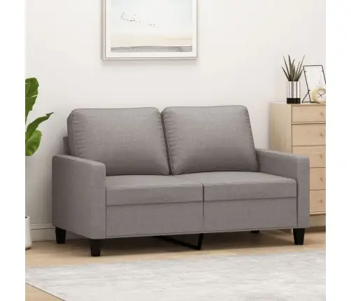 Divvietīgs Dīvāns, Pelēkbrūns Audums, 120 Cm Vidaxl