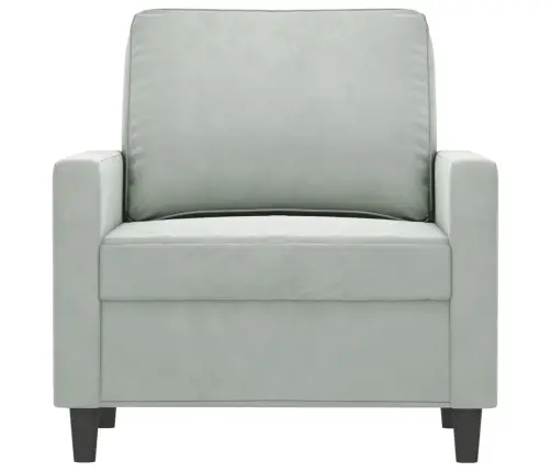 Krėslas, Šviesiai Pilkos Spalvos, 60cm Aksomas