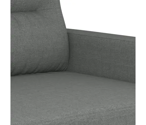 Divvietīgs Dīvāns, Tumši Pelēks Audums, 120 Cm Vidaxl