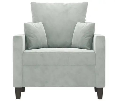 Atpūtas Krēsls, Gaiši Pelēks, 60 Cm, Samts Vidaxl